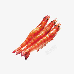 美味的基围虾美味海鲜对虾高清图片