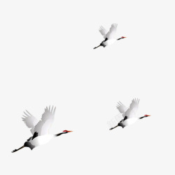飞翔的白鹤卡通白鹤高清图片