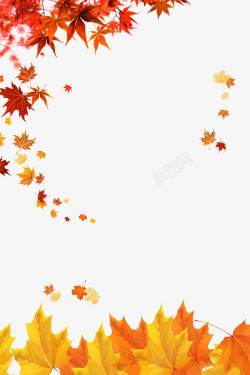 彩绘秋季叶子枫叶落叶高清图片