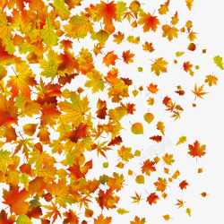 飘飞的落叶秋季凋零的树叶高清图片