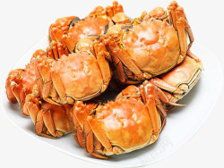 海鲜螃蟹食物素材