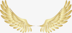 堕落天使的一对金色天使翅膀图高清图片