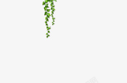 多根绿色藤蔓垂吊植物藤蔓垂吊绿色植物庭院高清图片