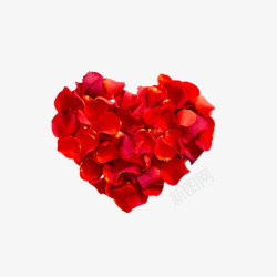 爱心红色玫瑰花瓣元素素材