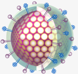 横截面病毒细胞横截面立体插画高清图片