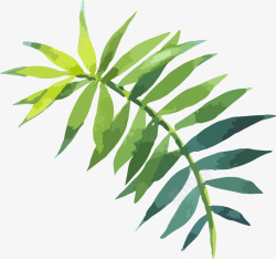 热带植物绿叶手绘水彩绿叶高清图片