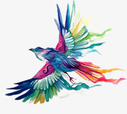 手绘彩色炫彩动物飞鸟素材