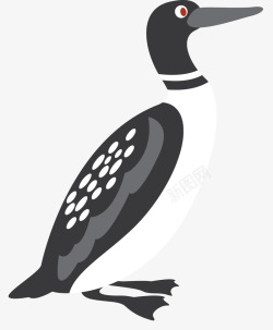 白色水鸟黑白色卡通潜鸟高清图片