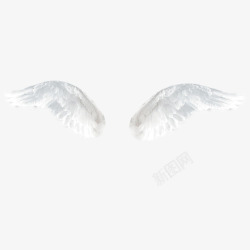 白色羽毛笔白色透明的翅膀高清图片