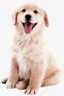 狗狗图案可爱小狗装饰图案高清图片