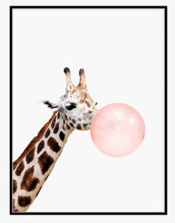 现代简约照片墙创意的个性长颈鹿高清图片