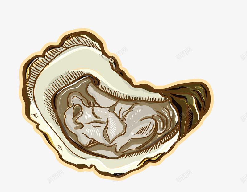 美味的海鲜png免抠素材_新图网 https://ixintu.com 美味海鲜食物生蚝
