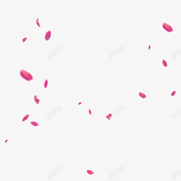 粉色红色大小不规则花瓣漂浮png免抠素材_新图网 https://ixintu.com 大小不规则花瓣 漂浮 粉色 红色