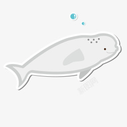 手绘海洋生物海豚矢量图素材
