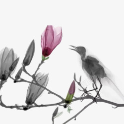 花朵与鸟水墨绘画素材