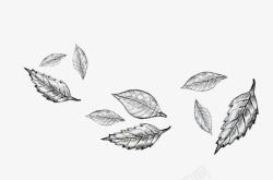 铅笔画树叶手绘漂浮树叶高清图片