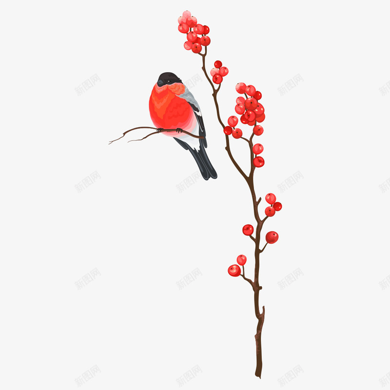 树枝上的小鸟png免抠素材_新图网 https://ixintu.com 卡通小鸟 红色小鸟 花卉 鸟 鸟儿 鸟类