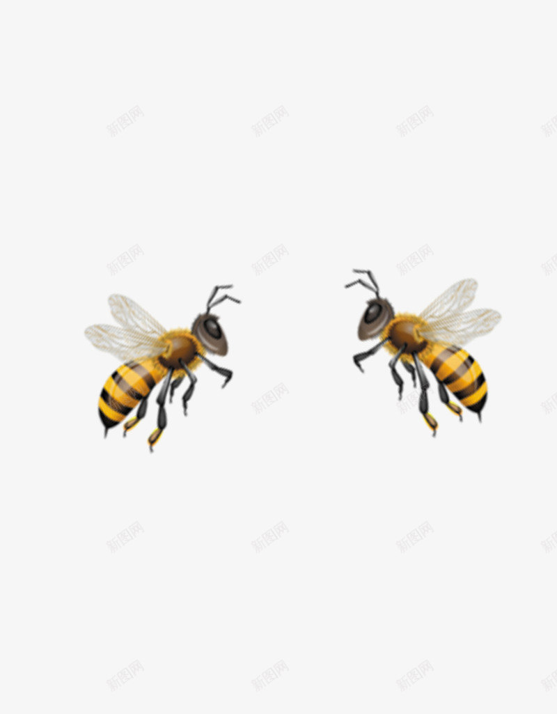 勤劳的小蜜蜂png免抠素材_新图网 https://ixintu.com 勤劳 小蜜蜂 蜂类 蜂蜜 蜜蜂 采蜜 黄色