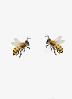 勤劳的蜜蜂勤劳的小蜜蜂高清图片