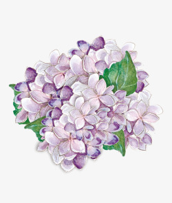紫色花团花团锦簇高清图片