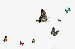 梦幻春天背景一群美丽的蝴蝶高清图片