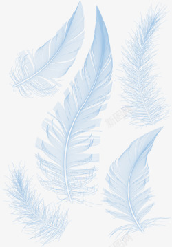 白鹅矢量白色的羽毛高清图片