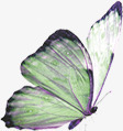 绿色艺术手绘蝴蝶素材