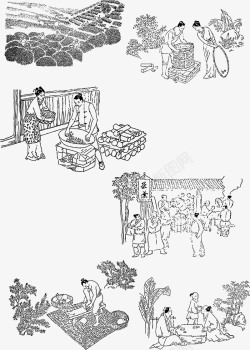 普洱茶叶古代制茶工序高清图片