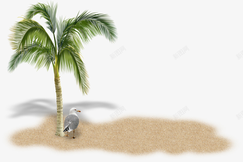 沙滩椰子树海鸥png免抠素材_新图网 https://ixintu.com 椰子树 沙子 沙滩 海鸥