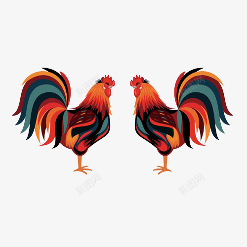 面对面的两只公鸡png免抠素材_新图网 https://ixintu.com 两只公鸡 公鸡 家禽 红色 鸡年