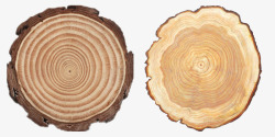 橡胶木圆木头素材