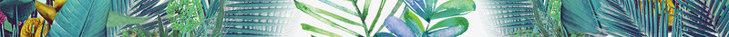 绿色植物叶子夏日小清新边框png免抠素材_新图网 https://ixintu.com 夏日 小清新 绿色植物叶子 边框