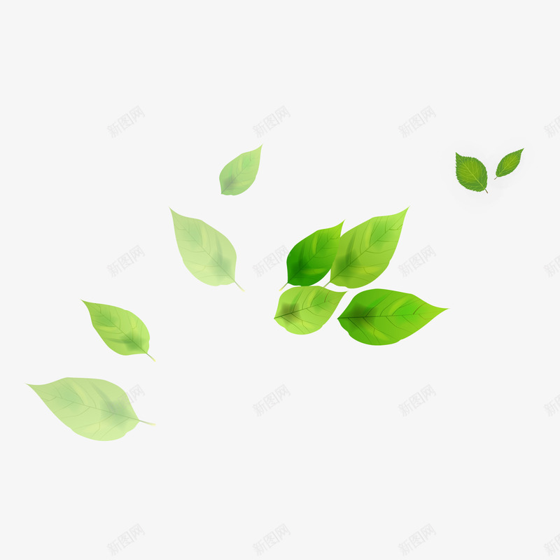 绿色现代植物装饰png免抠素材_新图网 https://ixintu.com 叶子 春天 树叶 树木 森林 清新 绿色 自然 茂盛 风景