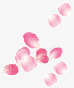女性节日素材花瓣浪漫漂浮元素高清图片