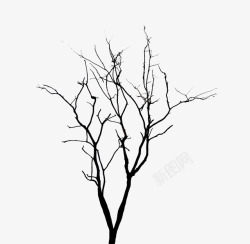 缠绕树枝简单的缠绕的树枝高清图片