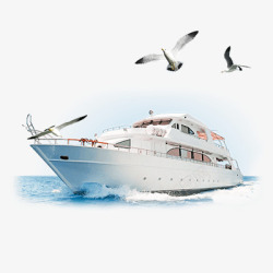 邮轮轮船大海海鸥高清图片