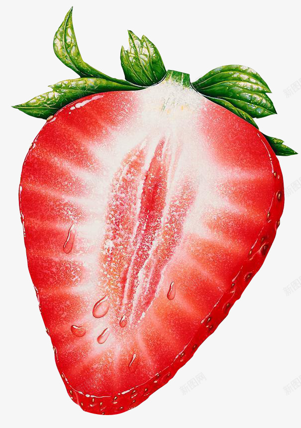 手绘新鲜草莓png免抠素材_新图网 https://ixintu.com 手绘 新鲜 水珠 草莓 草莓横切面 高清
