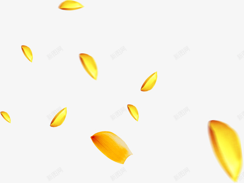 黄色金色漂浮花瓣png免抠素材_新图网 https://ixintu.com 漂浮 花瓣 金色 黄色