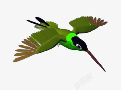 内绿外黑飞翔的啄木鸟高清图片
