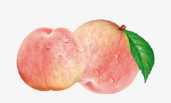 白桃诱人的水蜜桃高清图片