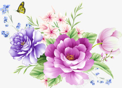 紫色亚麻籽花鲜花一束请请用高清图片