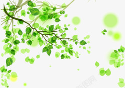 春日树叶水彩插图春日树枝叶高清图片