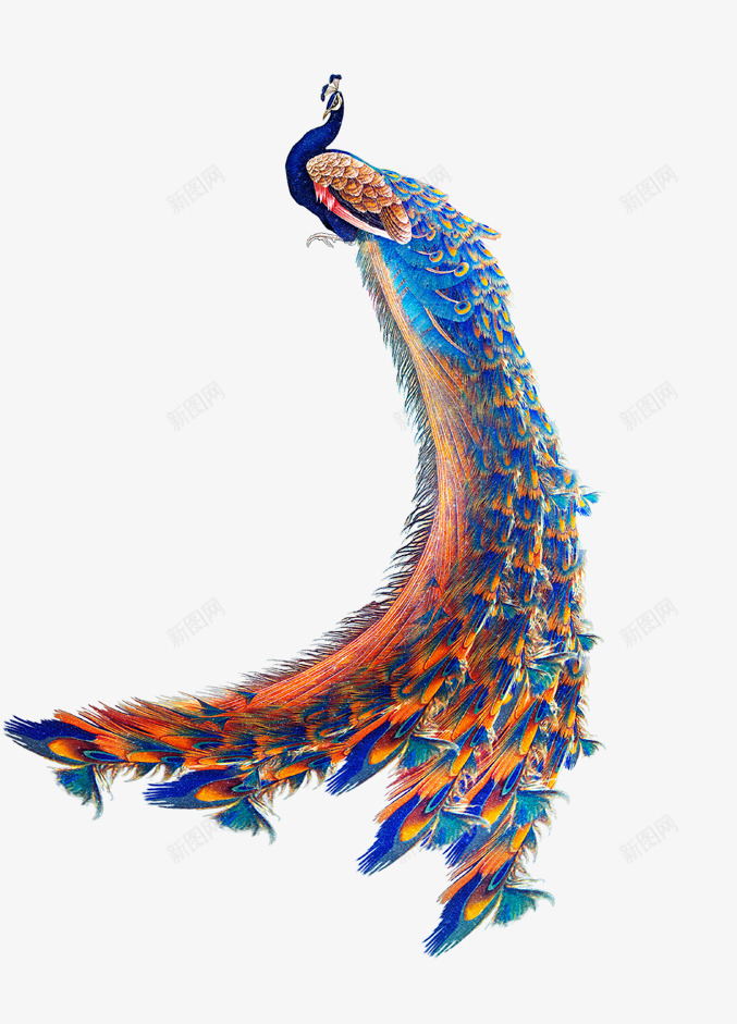 孔雀png免抠素材_新图网 https://ixintu.com 孔雀 房地产 房地产海报 楼盘海报 海报设计 花纹 高贵