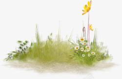 草丛白色小花黄色花朵素材