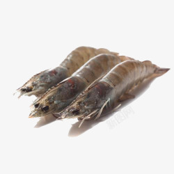 厄瓜多尔海鲜厄瓜多尔白虾高清图片