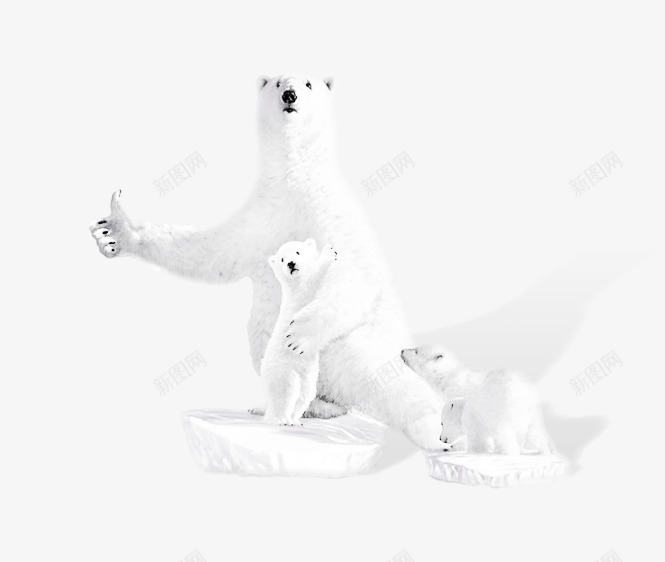 熊png免抠素材_新图网 https://ixintu.com 冰雪 动物 北极熊 小熊 熊 熊妈妈 行走的熊