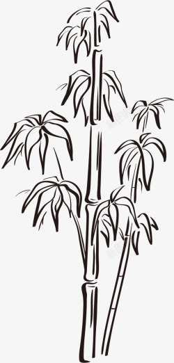 挺拔的竹子竹叶线描图素材