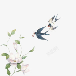 中国风荷花植物花朵手绘水彩花鸟元素高清图片