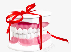 牙齿模型素材