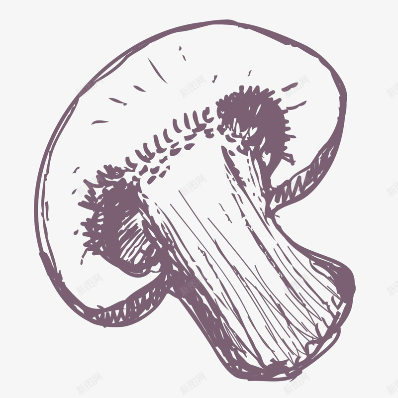 手绘香菇矢量图ai免抠素材_新图网 https://ixintu.com AI免抠图 卡通设计 平面设计 手绘设计 植物设计 蘑菇设计 香菇设计 矢量图